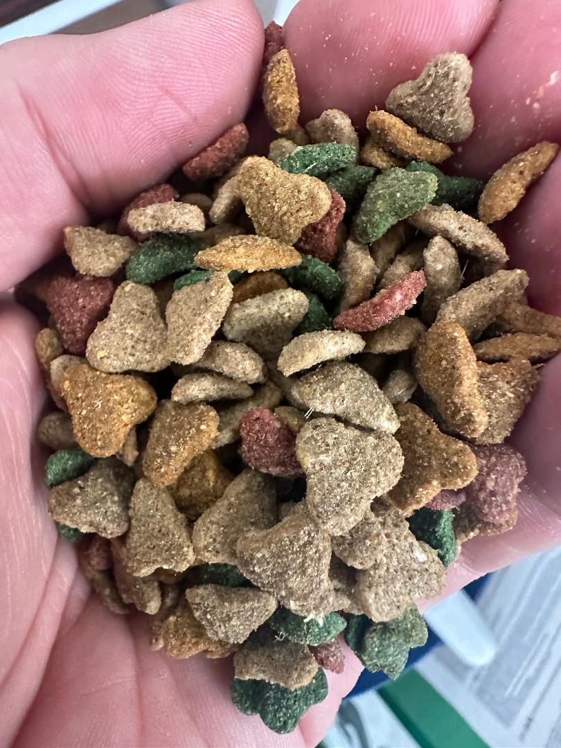 BONTA BOSIO GATTO CROCCHETTA KG 20 - ALFAPIUshop