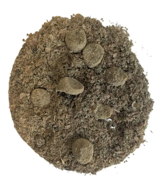 DERBY PASTONE REINTEGRA KG 20